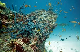 Pasikuda & Kalkuda Beach