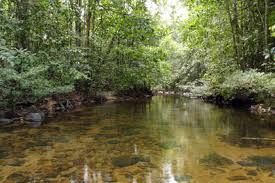 KANNELIYA FOREST RESERVE