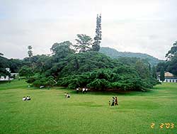 The Royal Botanical Gardens