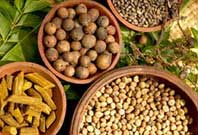 Ayurveda - Arugambay