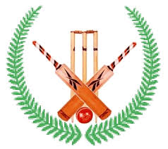 Gesto Cricket Club