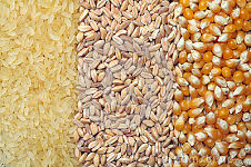 MIRAKI FOOD PRODUCTS