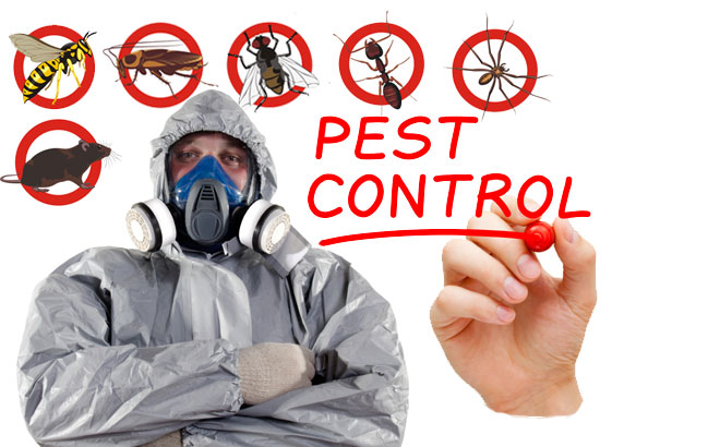 Your Land Pest Control Services