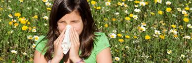 Allergy And Immunology