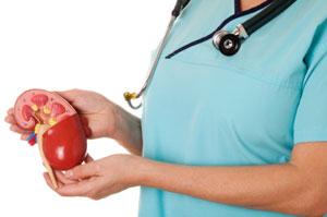 Nephrologist And Physician