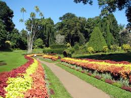 ROYAL BOTANIC GARDENS