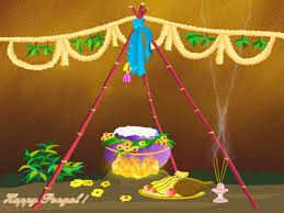 Thai Pongal