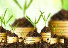 Sigma Investment Ltd