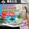 Dark Shade Walls - Wall Paper Company