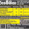 Romania Job Vacancies  – Supra Foreign Employment Agency