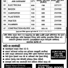 Electirican, Mason, Carpenter, Painter, Plumber – Croatia Job Vacancies