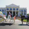 Horse Cart for weddings and Functions