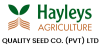 Hayleys Plant Nursery