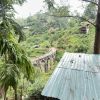 71093.jpg
