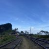 71307.jpg