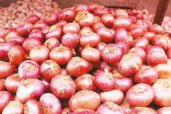 India imposes 40% duty on onion exports effective toda