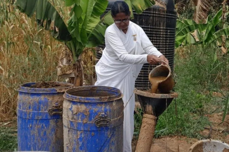 Cow dung's key role in India's energy industry